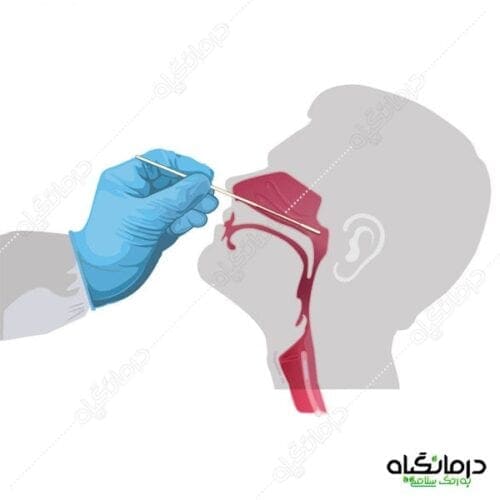 تست کرونا را خودتان 15 دقیقه ای در منزل بگیرید + قیمت و روش خرید 4 4 2 - تست کرونا را خودتان 15 دقیقه ای در منزل بگیرید + قیمت و روش خرید - تست کرونا