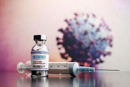 واکسن - مجوز تزریق دوز چهارم واکسن کرونا صادر شد - دوز چهارم واکسن