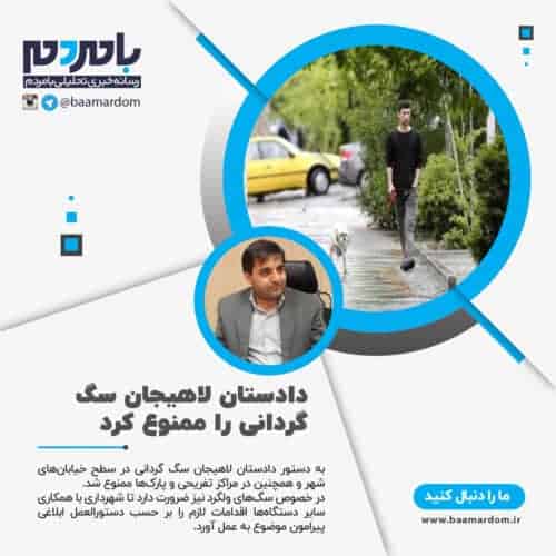 دادستان لاهیجان سگ گردانی را ممنوع کرد - دادستان لاهیجان سگ گردانی را ممنوع کرد - دادستان لاهیجان