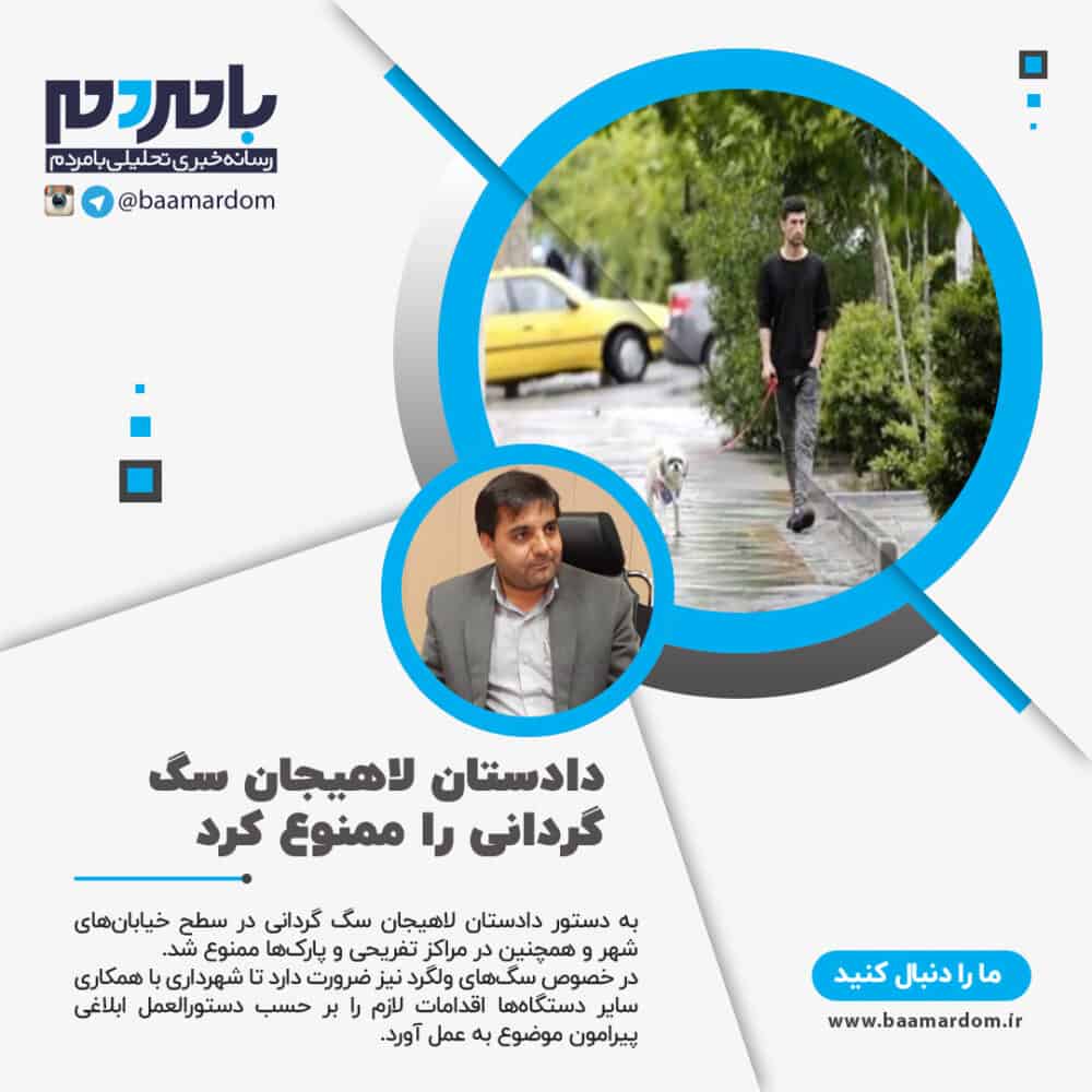 دادستان لاهیجان سگ گردانی را ممنوع کرد