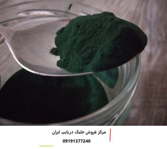 عکس پودر جلبک دریایی اصل - عکس پودر جلبک دریایی اصل - پودر جلبک دریایی اصل