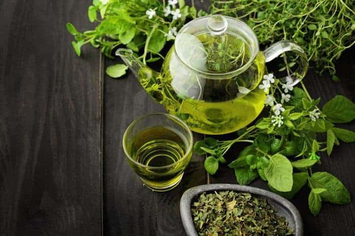 چای سبز - با این گیاه از پرداخت هزینه های دندان پزشکی معاف شوید - چای سبز