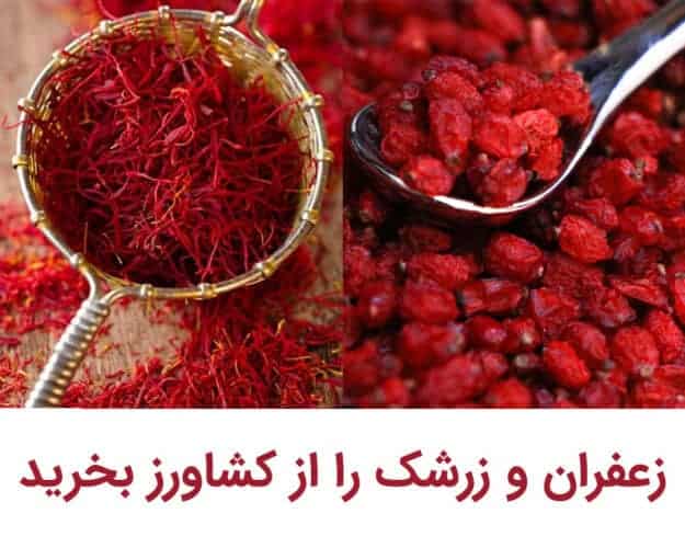 زعفران و زرشک را از کشاورزان بذرگران بهرید. - زعفران و زرشک عمده و جزئی را از کشاورز بخرید - بذرگران