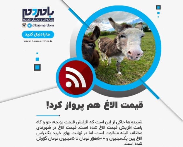 قیمت الاغ هم پرواز کرد! 1 قیمت الاغ هم پرواز کرد - قیمت الاغ هم پرواز کرد! - الاغ