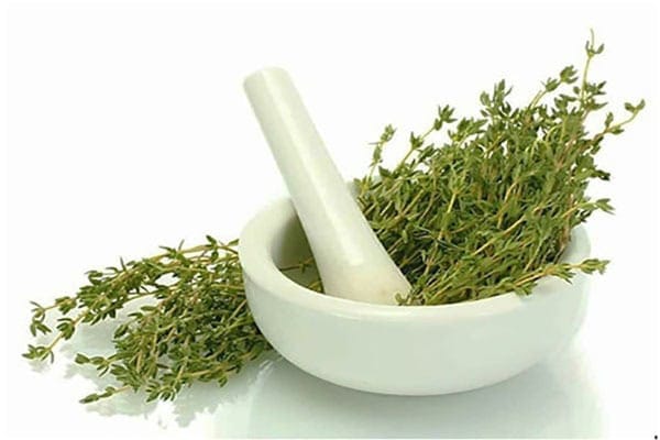 عصاره گیاهان ضد سرفه و خلط آور