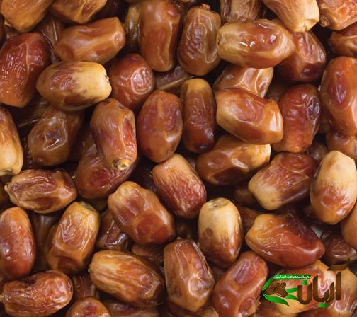 خرید خرمای جهرم در فارس با قیمت پایین