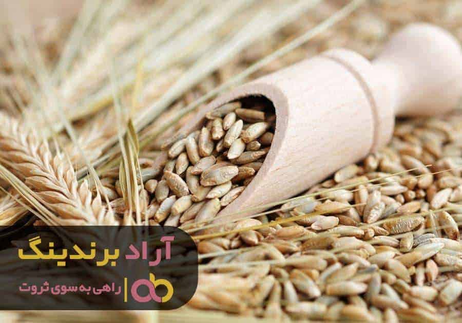 نمایندگی فروش جو دوسر خرد شده شیرین