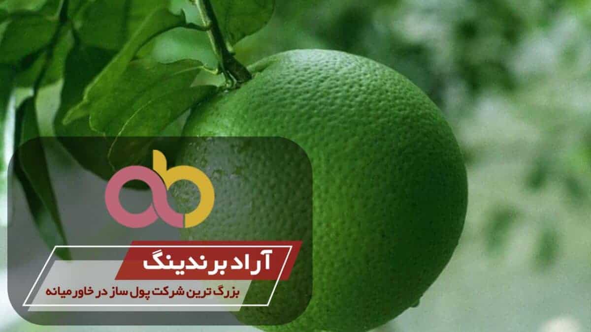 word image 203823 1 scaled - خرید نارنگی سبز شیرین کوچک - خرید نارنگی