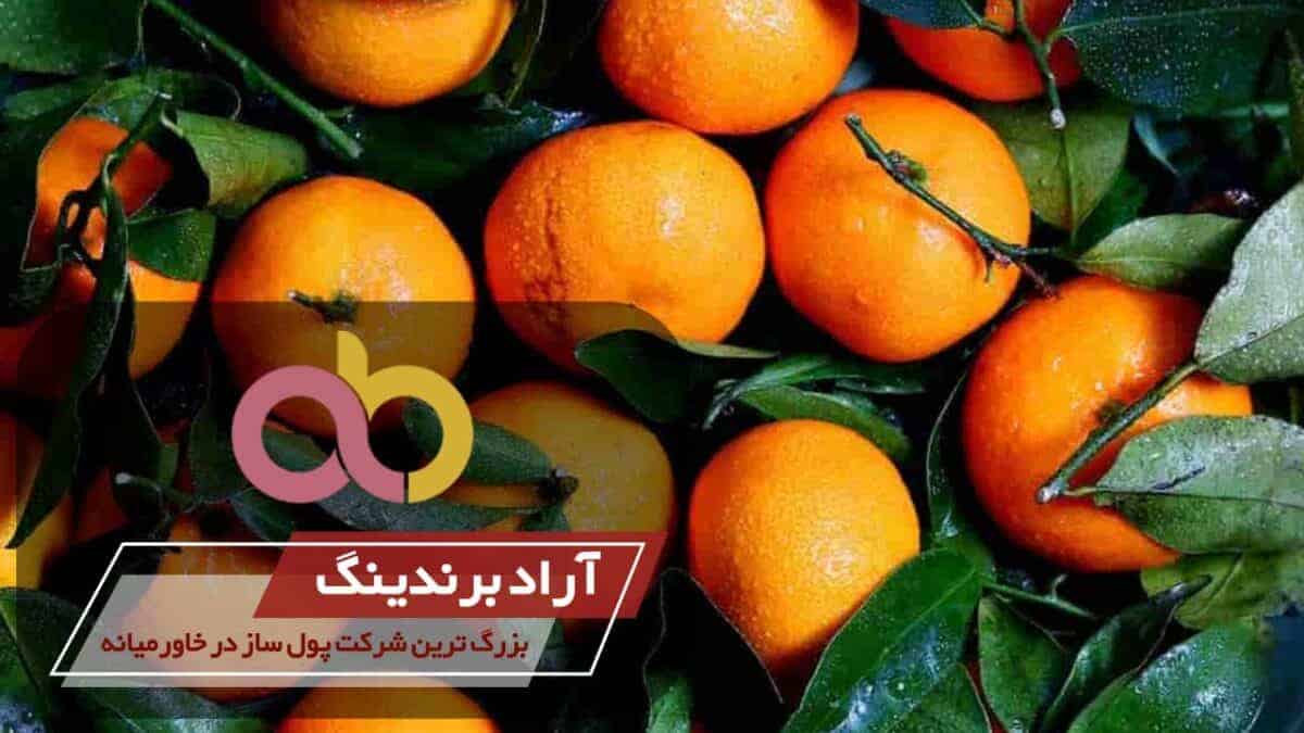 word image 203823 3 scaled - خرید نارنگی سبز شیرین کوچک - خرید نارنگی