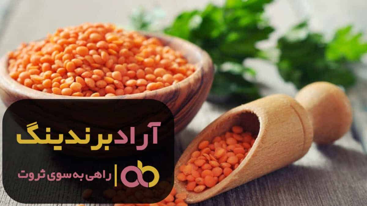 word image 204193 1 scaled - قیمت عدس قرمز کوهی قهوه ای اصفهان - عدس قرمز کوهی