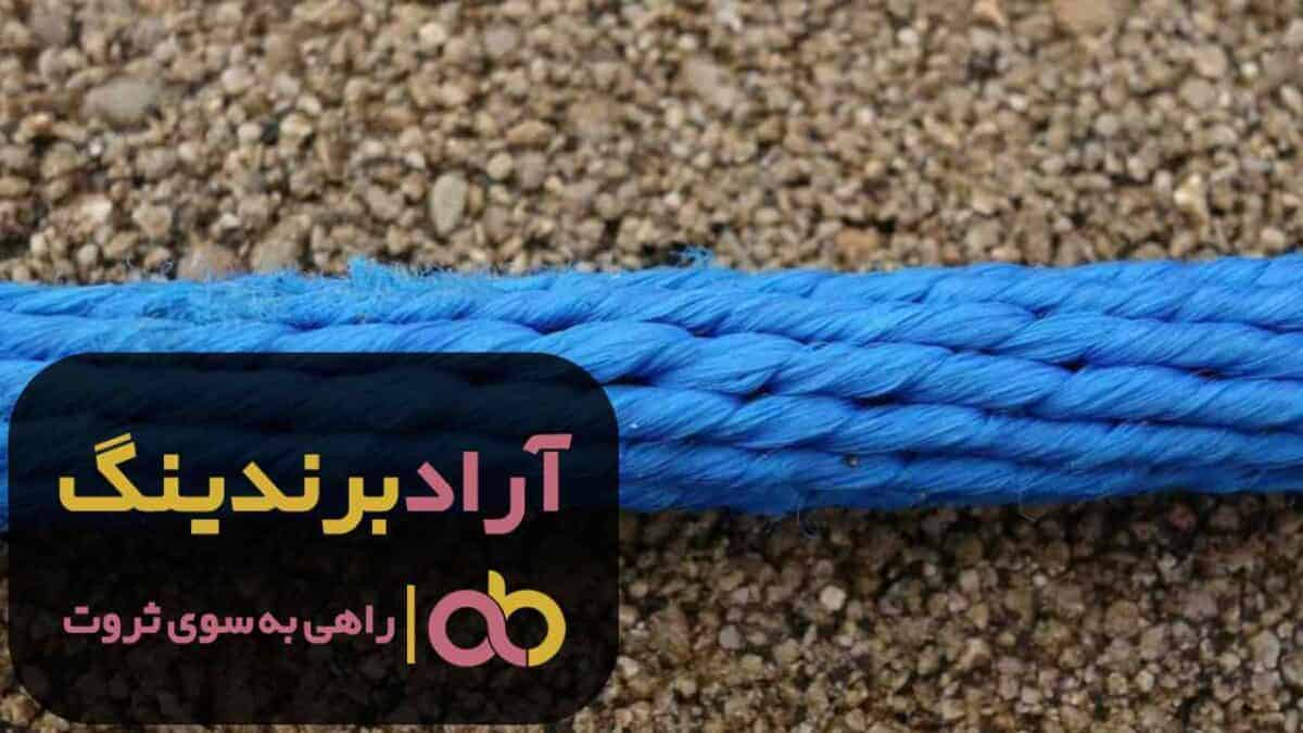 word image 204329 2 scaled - طناب پلاستیکی گلخانه ماهیگیری درجه یک - طناب پلاستیکی