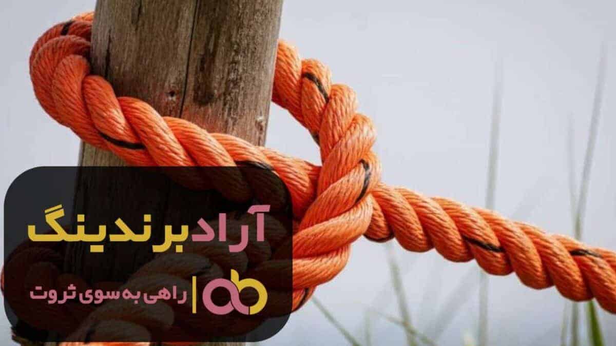 word image 204329 3 scaled - طناب پلاستیکی گلخانه ماهیگیری درجه یک - طناب پلاستیکی
