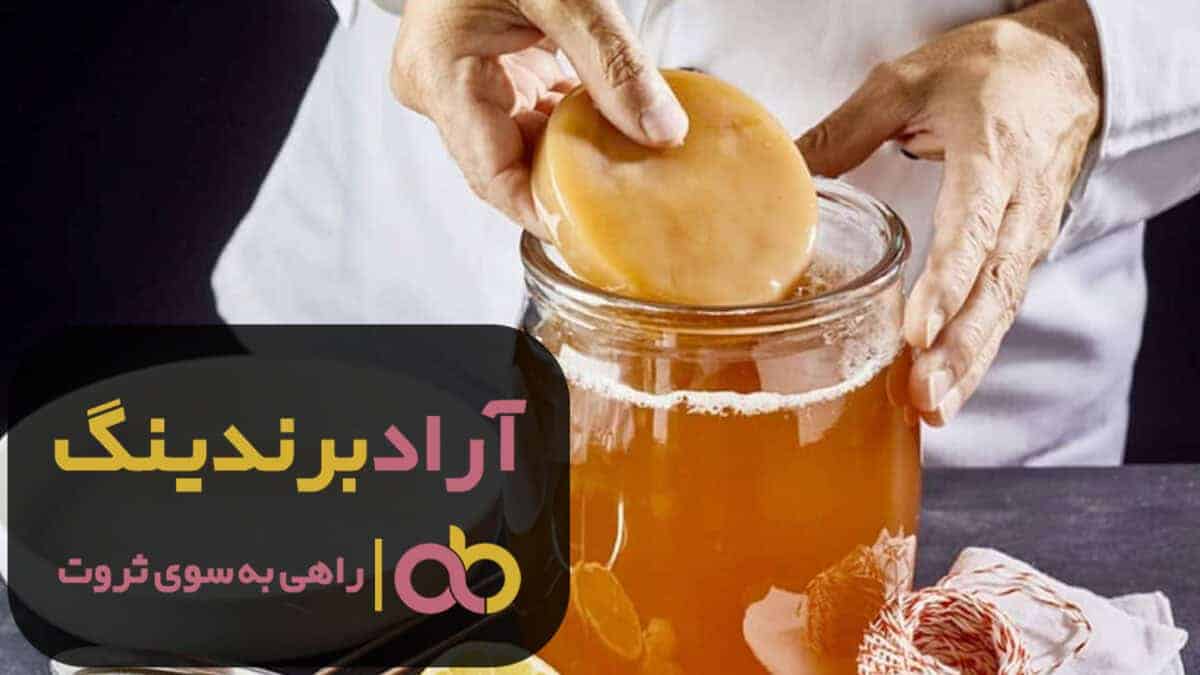 فروش کامبوجا قارچ قهوه سبز جینسینگ