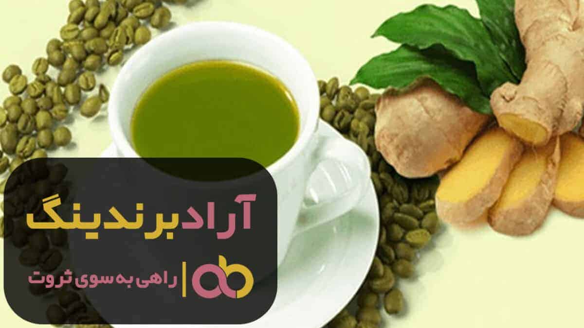 فروش کامبوجا قارچ قهوه سبز جینسینگ 2 word image 204347 2 scaled - فروش کامبوجا قارچ قهوه سبز جینسینگ - کامبوجا