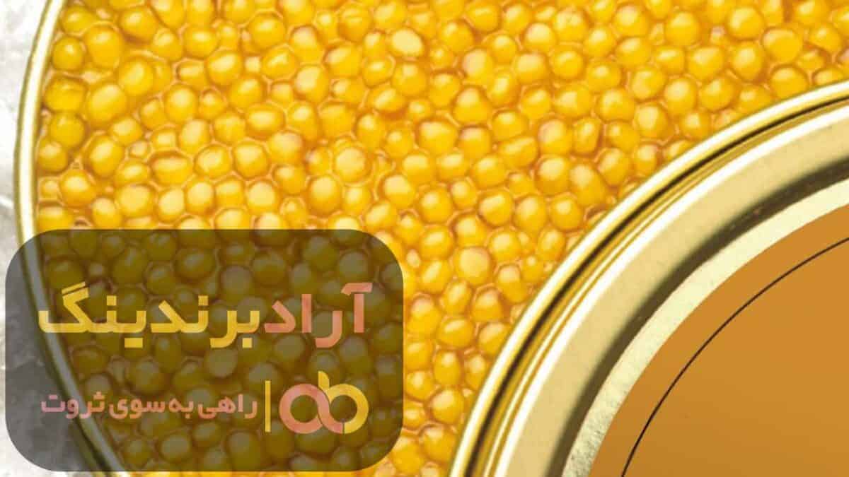 word image 204349 2 scaled - خاویار صنعتی طلایی نقره ای عمده - خاویار صنعتی