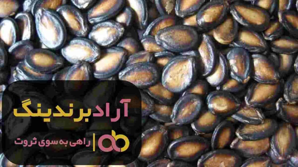 تخمه هندوانه تلخ اب پز یزد 3 word image 204447 3 scaled - تخمه هندوانه تلخ اب پز یزد - تخمه هندوانه