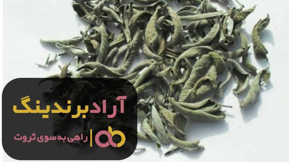 قیمت مریم گلی خشک لوله ای تبریز 1 word image 204461 1 scaled - قیمت مریم گلی خشک لوله ای تبریز - مریم گلی