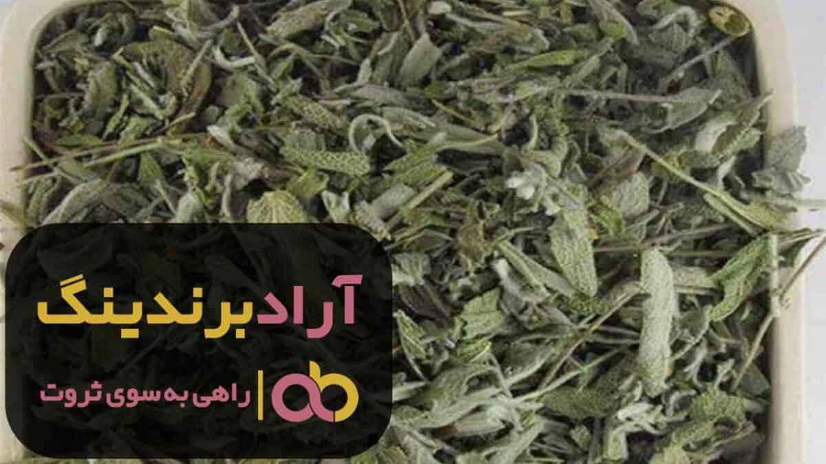 قیمت مریم گلی خشک لوله ای تبریز 3 word image 204461 3 scaled - قیمت مریم گلی خشک لوله ای تبریز - مریم گلی