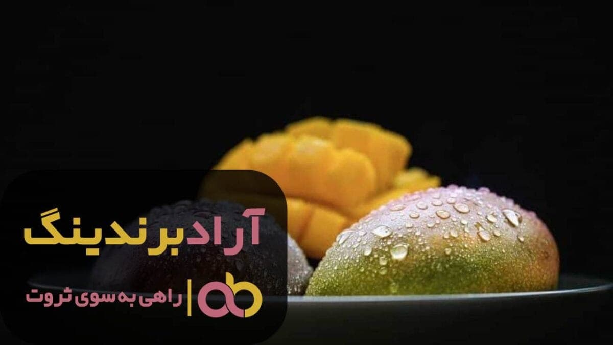 word image 204564 2 scaled - انبه سردسیری شیرین کوهی شمالی - انبه
