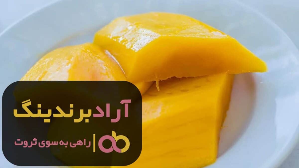 word image 204564 3 scaled - انبه سردسیری شیرین کوهی شمالی - انبه