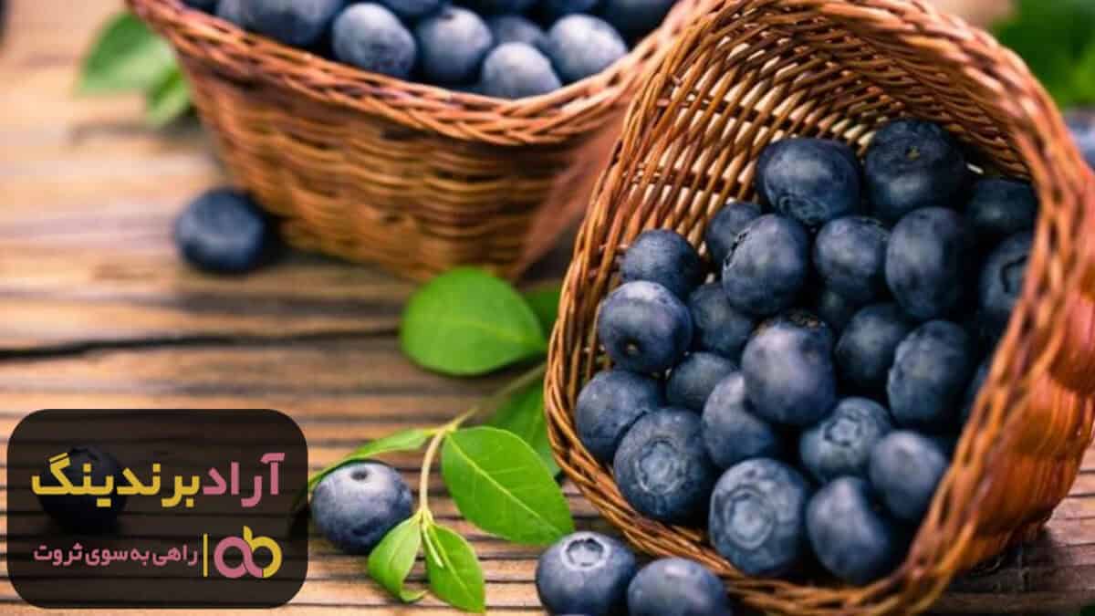 word image 204647 1 scaled - فروش بلوبری خشک تازه صنعتی تهران - بلوبری