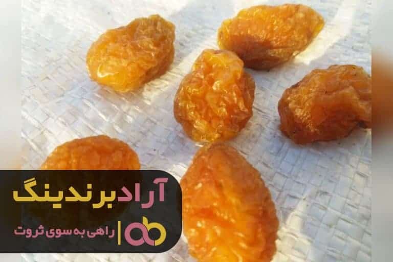 word image 204852 1 - خرید فروش آلوچه خشک ریز شیرین خانگی - آلوچه خشک