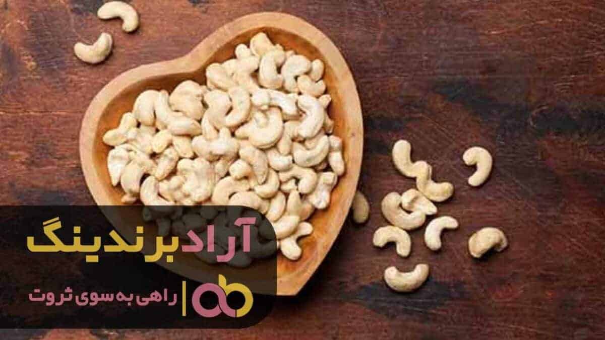 word image 204872 1 scaled - کارخانه بادام هندی شیراز ایرانی - بادام هندی