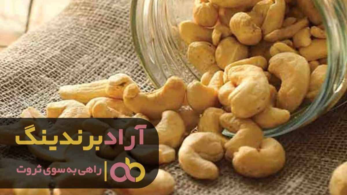 کارخانه بادام هندی شیراز ایرانی