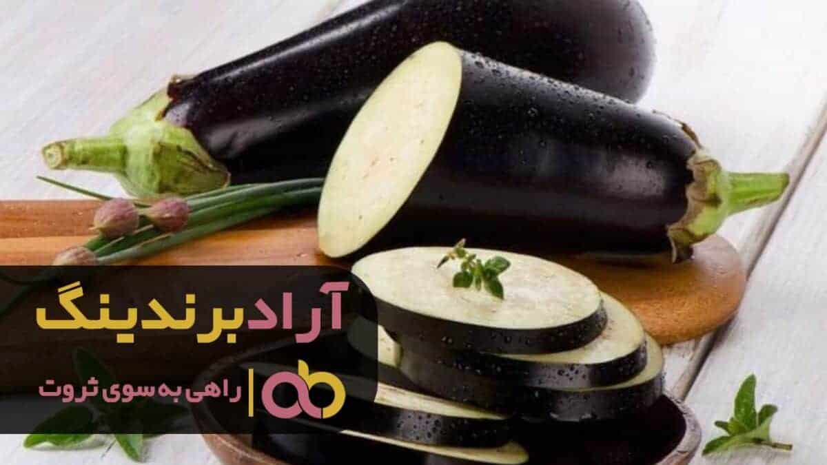 قیمت بادمجان لامپی گلخانه ای ورامین