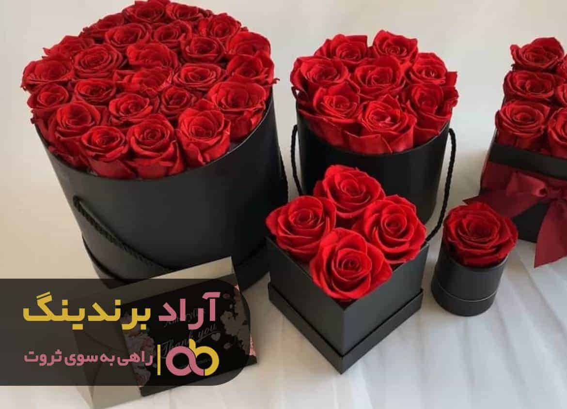 قیمت رز هلندی رنگی باغچه ای