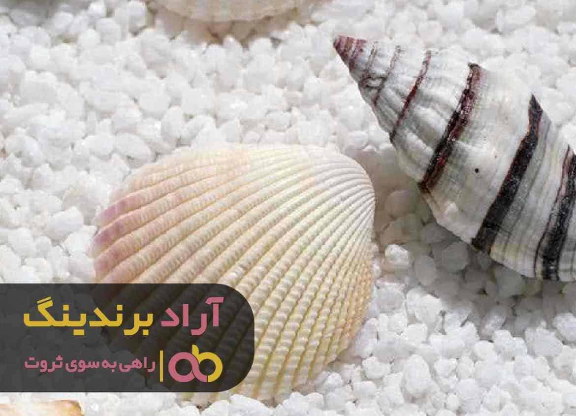 word image 205568 1 - فروش پودر صدف معدنی گلستان - پودر صدف