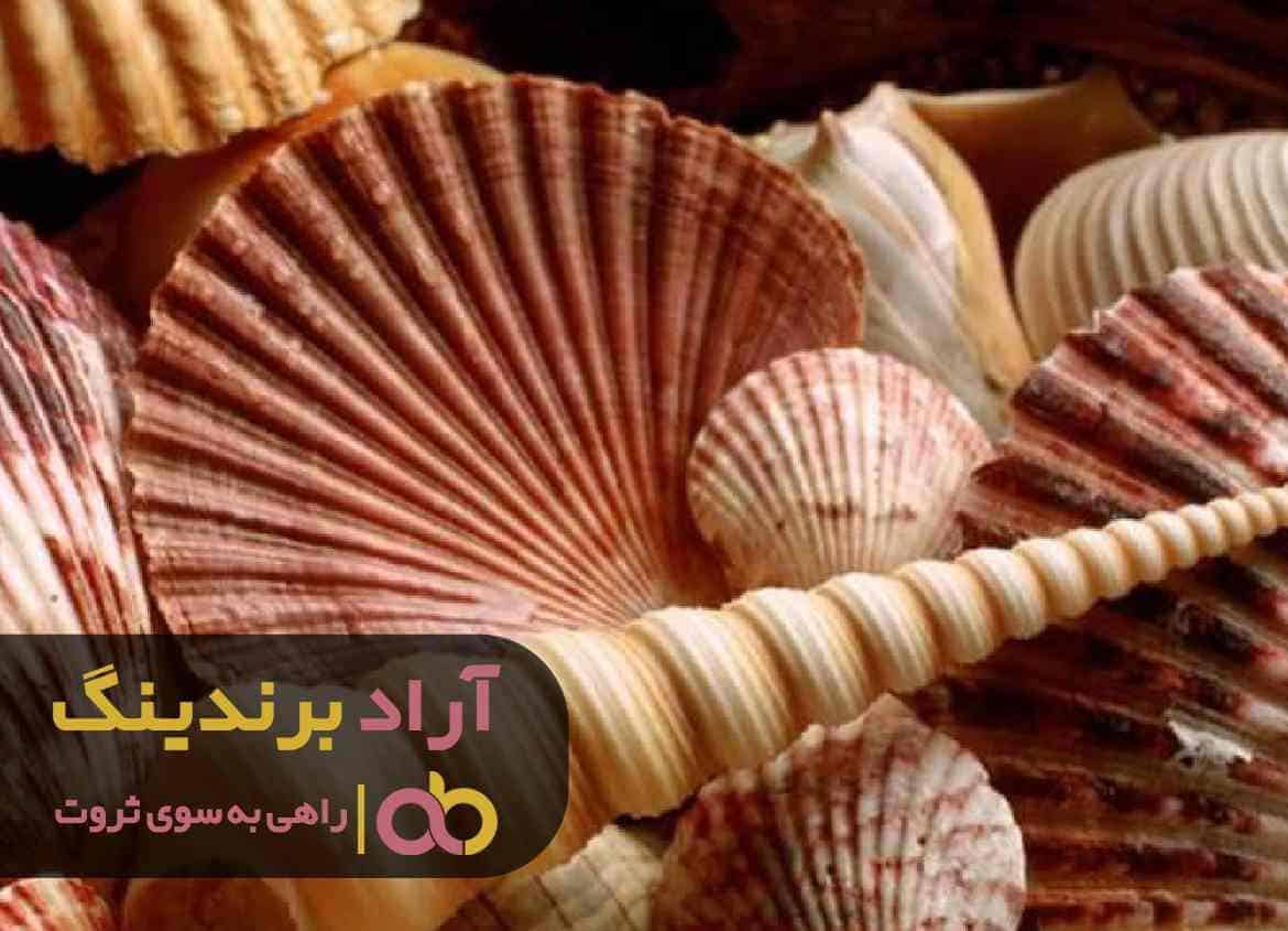 فروش پودر صدف معدنی گلستان