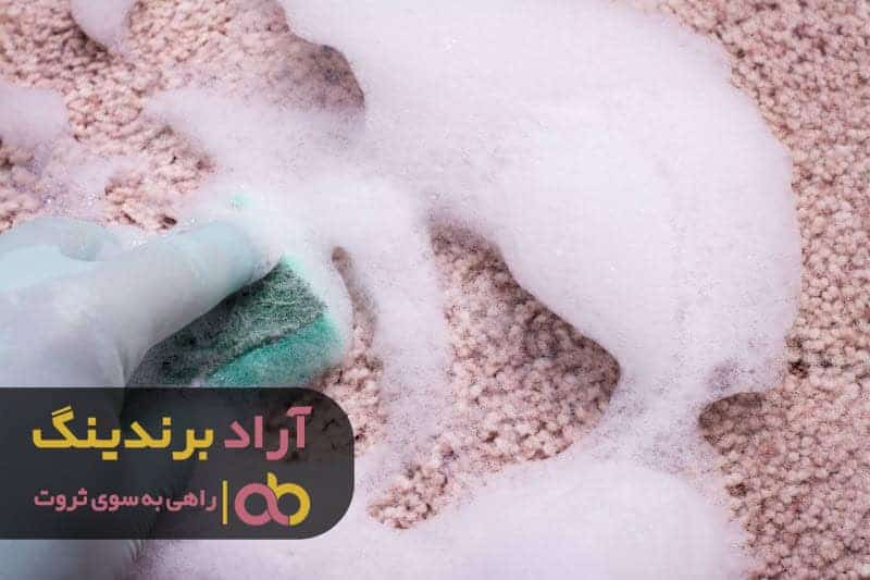 word image 205638 2 - قیمت شامپو فرش نانوسان مشهد - شامپو فرش