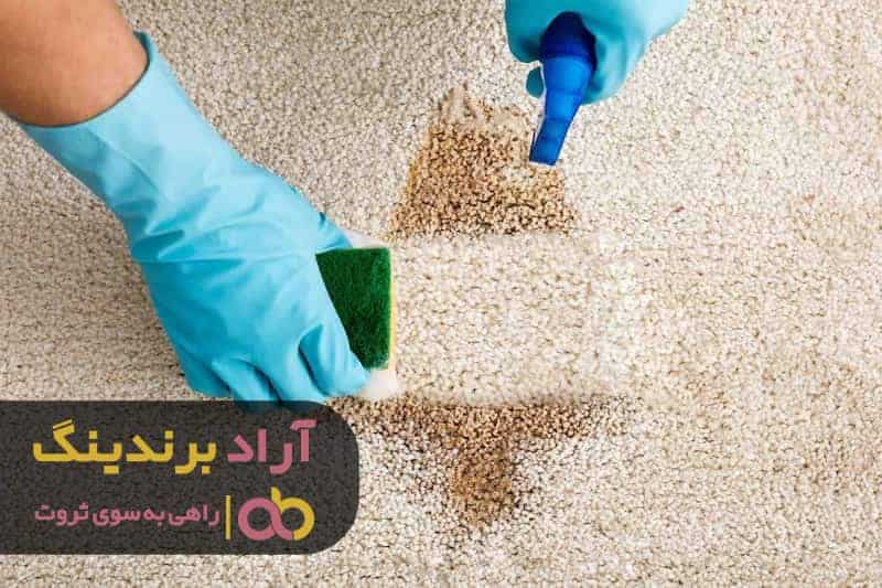 word image 205638 3 - قیمت شامپو فرش نانوسان مشهد - شامپو فرش