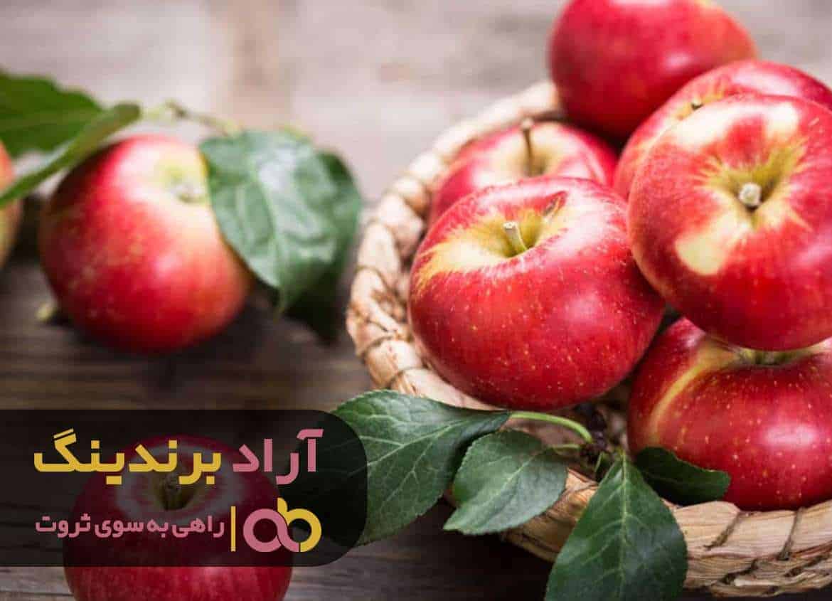 word image 205961 2 - قیمت سیب قرمز ارومیه عمده - سیب قرمز