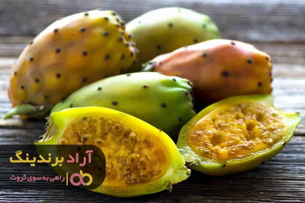 برسی قیمت و خواص کاکتوس گلابی خاردار و نحوه خرید آن