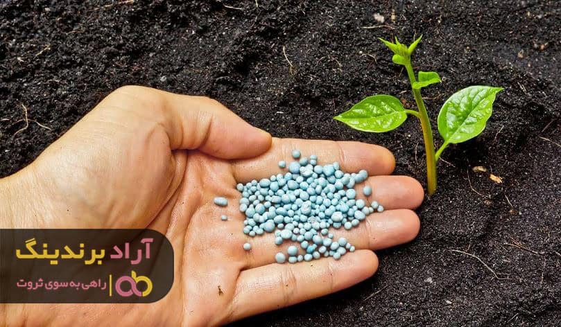 word image 206468 2 - چرا کود فسفر بالا گرومور برای رشد گیاهان آپارتمانی ضروری می باشد؟ - کود فسفر
