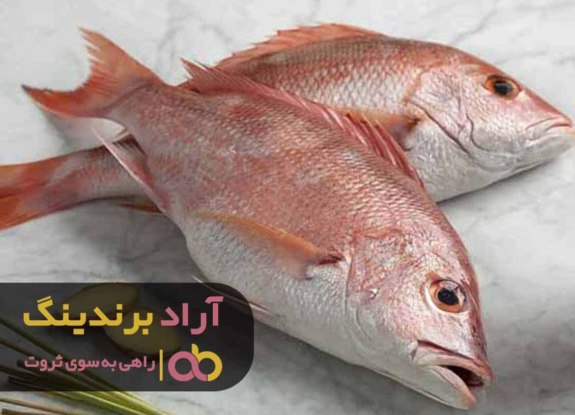 word image 206673 2 - از خواص ماهی سرخو خبر دارید؟ - خواص ماهی