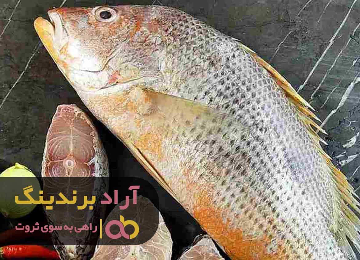 word image 206673 3 - از خواص ماهی سرخو خبر دارید؟ - خواص ماهی