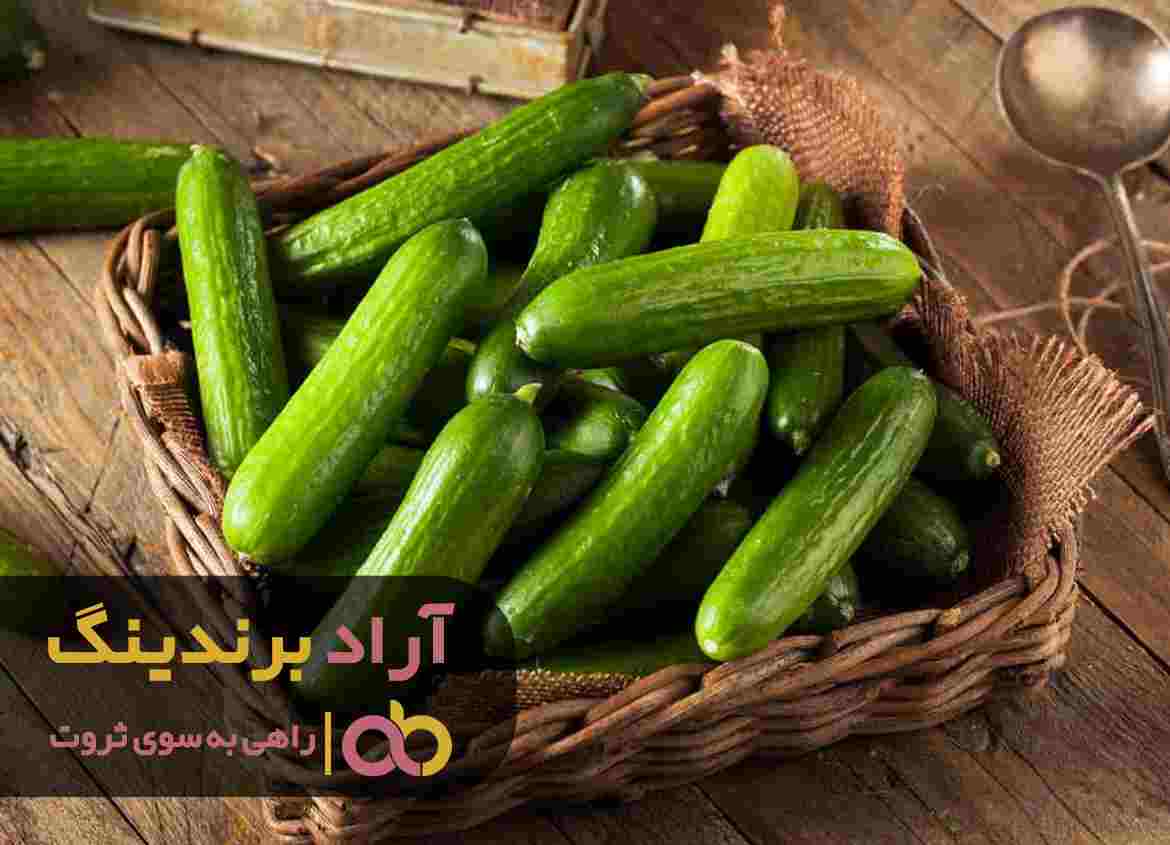 word image 207357 2 - خرید خیار درختی گلخانه ای یزد - خیار درختی