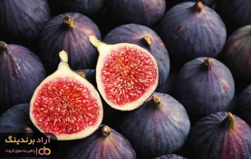 انجیر سیاه خسروی گچساران