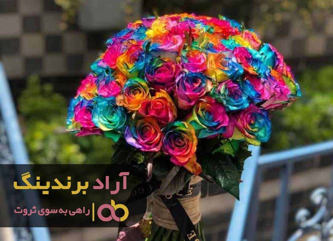 قیمت گل رز هلندی هفت رنگ