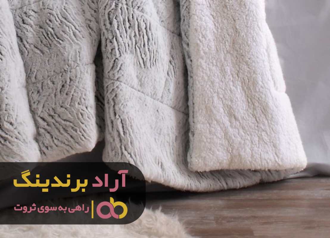 word image 209267 2 - بهترین راهکار برای کسب درآمد دلاری در ایران -