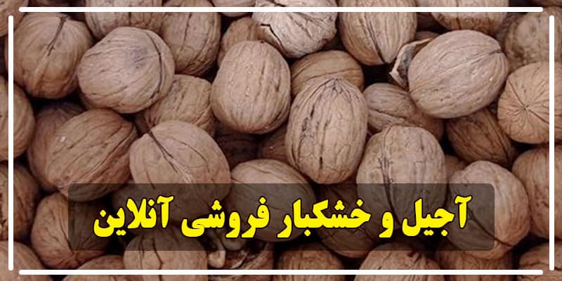 D:\آقای گردو\محتوا-گردو\گردو\آجیل و خشکبار\گردو.jpg