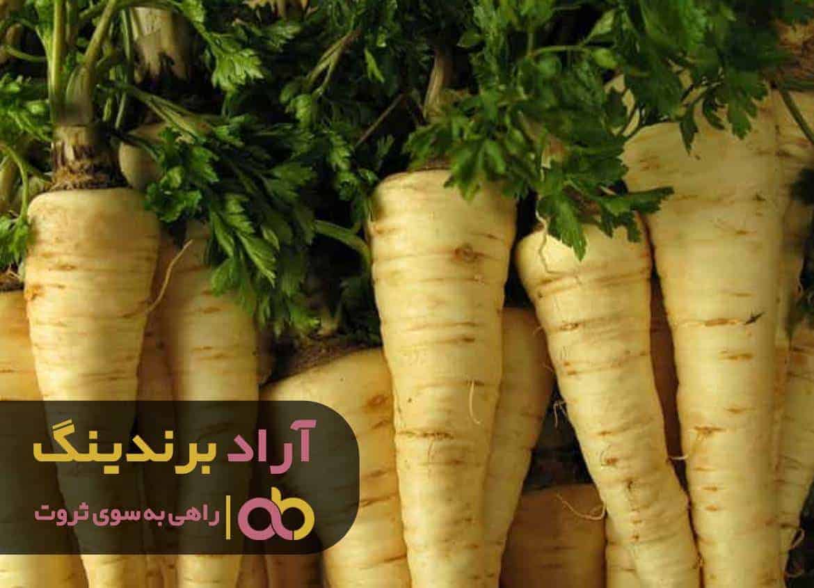 word image 210264 2 - با غلبه بر ترس هایتان ایده های نو خلق کنید -