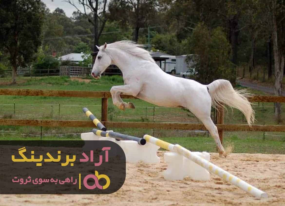 word image 210406 3 - چگونه با شناخت ویژگی های خود به ثروت برسیم؟ - ثروت