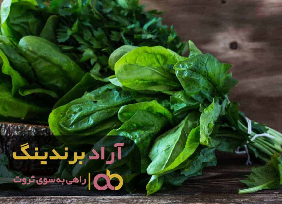 word image 211180 2 - در خواب هم نمی دیدم که با اسفناج ثروتمند بشوم -