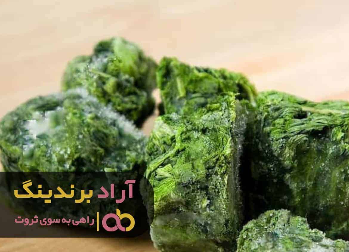 word image 211180 3 - در خواب هم نمی دیدم که با اسفناج ثروتمند بشوم -