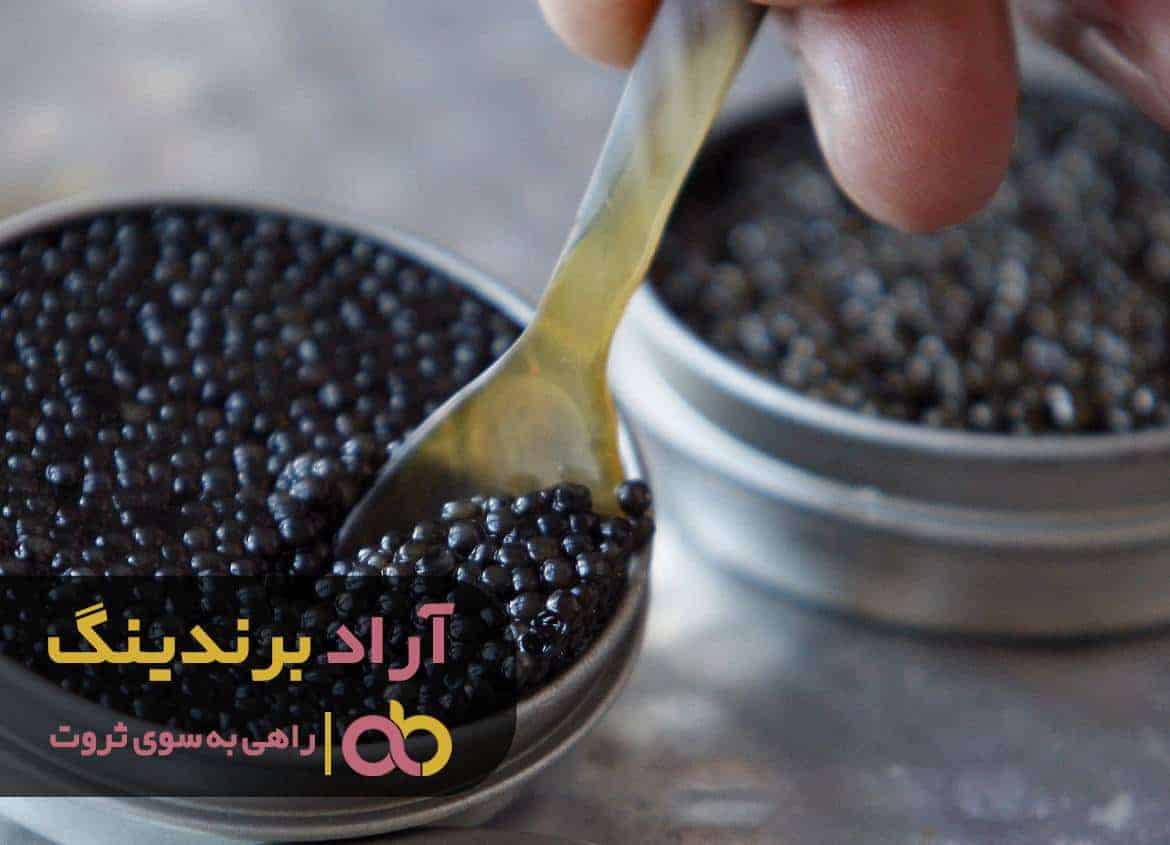 word image 211254 3 - جذب ثروتی که با خاویار برایم تبدیل شدنی شد -