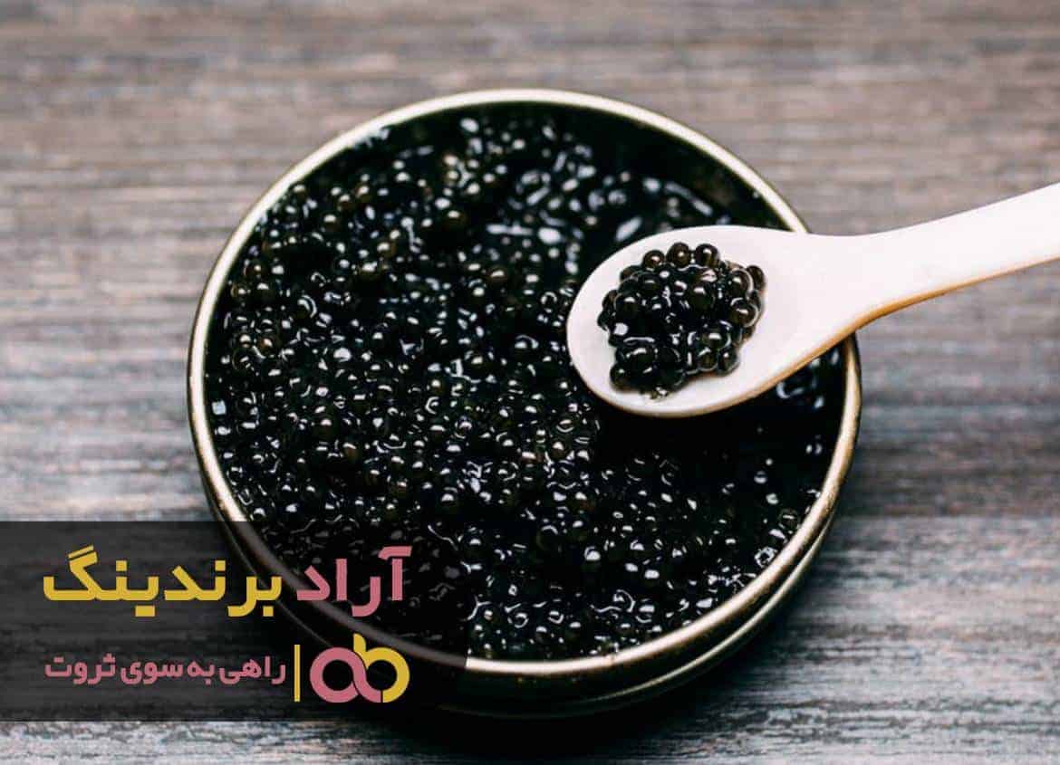 توانایی هر فردی را با ثروت او مورد سنجش قرار دهید